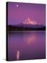 Mt Hood in Moonlight, Lost Lake, Oregon Cascades, USA-Janis Miglavs-Stretched Canvas