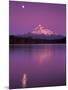 Mt Hood in Moonlight, Lost Lake, Oregon Cascades, USA-Janis Miglavs-Mounted Photographic Print