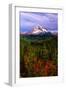 Mt. Hood IV-Ike Leahy-Framed Photographic Print