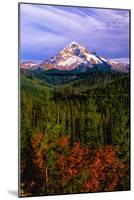 Mt. Hood IV-Ike Leahy-Mounted Photographic Print