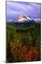 Mt. Hood IV-Ike Leahy-Mounted Photographic Print