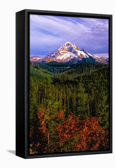 Mt. Hood IV-Ike Leahy-Framed Stretched Canvas