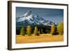 Mt. Hood IX-Ike Leahy-Framed Photographic Print