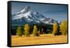 Mt. Hood IX-Ike Leahy-Framed Stretched Canvas