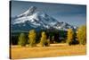 Mt. Hood IX-Ike Leahy-Stretched Canvas