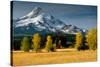 Mt. Hood IX-Ike Leahy-Stretched Canvas