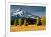 Mt. Hood IX-Ike Leahy-Framed Photographic Print