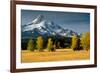 Mt. Hood IX-Ike Leahy-Framed Photographic Print