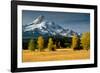 Mt. Hood IX-Ike Leahy-Framed Photographic Print