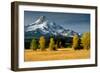 Mt. Hood IX-Ike Leahy-Framed Photographic Print