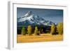 Mt. Hood IX-Ike Leahy-Framed Photographic Print
