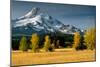 Mt. Hood IX-Ike Leahy-Mounted Photographic Print