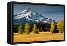 Mt. Hood IX-Ike Leahy-Framed Stretched Canvas