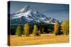 Mt. Hood IX-Ike Leahy-Stretched Canvas