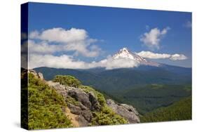 Mt. Hood, Mt. Hood National Forest, Oregon, USA-Craig Tuttle-Stretched Canvas