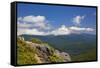 Mt. Hood, Mt. Hood National Forest, Oregon, USA-Craig Tuttle-Framed Stretched Canvas