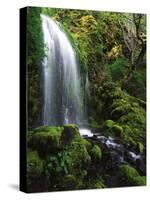 Mt Hood National Forest, Waterfall, Columbia Gorge Scenic Area, Oregon, USA-Stuart Westmorland-Stretched Canvas