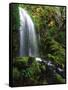 Mt Hood National Forest, Waterfall, Columbia Gorge Scenic Area, Oregon, USA-Stuart Westmorland-Framed Stretched Canvas
