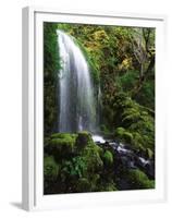 Mt Hood National Forest, Waterfall, Columbia Gorge Scenic Area, Oregon, USA-Stuart Westmorland-Framed Premium Photographic Print