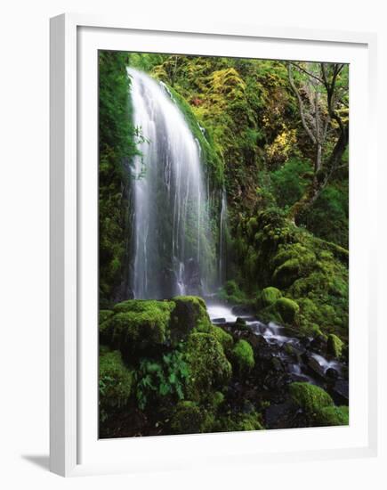 Mt Hood National Forest, Waterfall, Columbia Gorge Scenic Area, Oregon, USA-Stuart Westmorland-Framed Premium Photographic Print