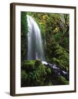 Mt Hood National Forest, Waterfall, Columbia Gorge Scenic Area, Oregon, USA-Stuart Westmorland-Framed Premium Photographic Print