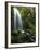 Mt Hood National Forest, Waterfall, Columbia Gorge Scenic Area, Oregon, USA-Stuart Westmorland-Framed Premium Photographic Print