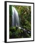 Mt Hood National Forest, Waterfall, Columbia Gorge Scenic Area, Oregon, USA-Stuart Westmorland-Framed Premium Photographic Print