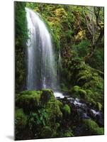 Mt Hood National Forest, Waterfall, Columbia Gorge Scenic Area, Oregon, USA-Stuart Westmorland-Mounted Premium Photographic Print