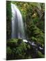 Mt Hood National Forest, Waterfall, Columbia Gorge Scenic Area, Oregon, USA-Stuart Westmorland-Mounted Premium Photographic Print