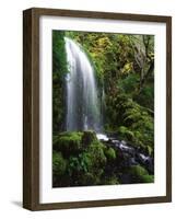 Mt Hood National Forest, Waterfall, Columbia Gorge Scenic Area, Oregon, USA-Stuart Westmorland-Framed Photographic Print