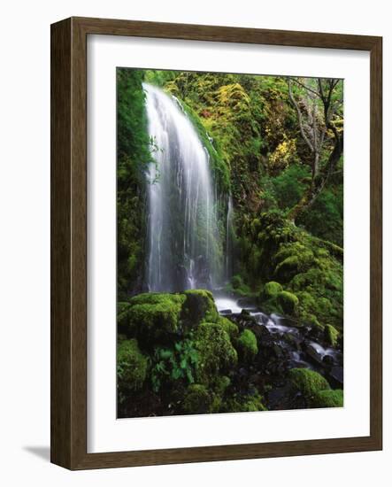 Mt Hood National Forest, Waterfall, Columbia Gorge Scenic Area, Oregon, USA-Stuart Westmorland-Framed Photographic Print