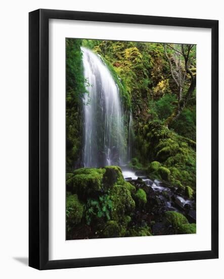 Mt Hood National Forest, Waterfall, Columbia Gorge Scenic Area, Oregon, USA-Stuart Westmorland-Framed Photographic Print