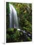 Mt Hood National Forest, Waterfall, Columbia Gorge Scenic Area, Oregon, USA-Stuart Westmorland-Framed Photographic Print