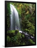 Mt Hood National Forest, Waterfall, Columbia Gorge Scenic Area, Oregon, USA-Stuart Westmorland-Framed Photographic Print