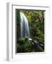 Mt Hood National Forest, Waterfall, Columbia Gorge Scenic Area, Oregon, USA-Stuart Westmorland-Framed Premium Photographic Print