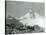 Mt. Hood, Oregon - Hikers with Horses Photograph-Lantern Press-Stretched Canvas