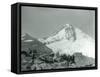 Mt. Hood, Oregon - Hikers with Horses Photograph-Lantern Press-Framed Stretched Canvas