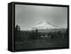 Mt. Hood, Oregon - Horse Meadow and Camp Photograph-Lantern Press-Framed Stretched Canvas