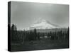 Mt. Hood, Oregon - Horse Meadow and Camp Photograph-Lantern Press-Stretched Canvas