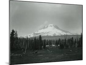 Mt. Hood, Oregon - Horse Meadow and Camp Photograph-Lantern Press-Mounted Art Print