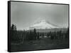 Mt. Hood, Oregon - Horse Meadow and Camp Photograph-Lantern Press-Framed Stretched Canvas