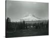 Mt. Hood, Oregon - Horse Meadow and Camp Photograph-Lantern Press-Stretched Canvas