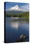 Mt. Hood, Oregon. Reflected and Shining over Trillium Lake-Michael Qualls-Stretched Canvas