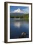 Mt. Hood, Oregon. Reflected and Shining over Trillium Lake-Michael Qualls-Framed Photographic Print