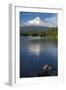 Mt. Hood, Oregon. Reflected and Shining over Trillium Lake-Michael Qualls-Framed Photographic Print