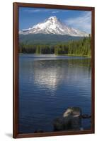 Mt. Hood, Oregon. Reflected and Shining over Trillium Lake-Michael Qualls-Framed Premium Photographic Print