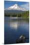 Mt. Hood, Oregon. Reflected and Shining over Trillium Lake-Michael Qualls-Mounted Premium Photographic Print