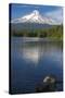 Mt. Hood, Oregon. Reflected and Shining over Trillium Lake-Michael Qualls-Stretched Canvas