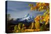 Mt. Hood Parkdale-Ike Leahy-Stretched Canvas