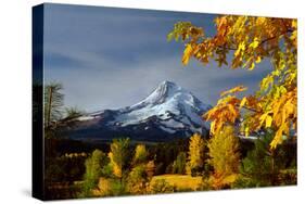 Mt. Hood Parkdale-Ike Leahy-Stretched Canvas